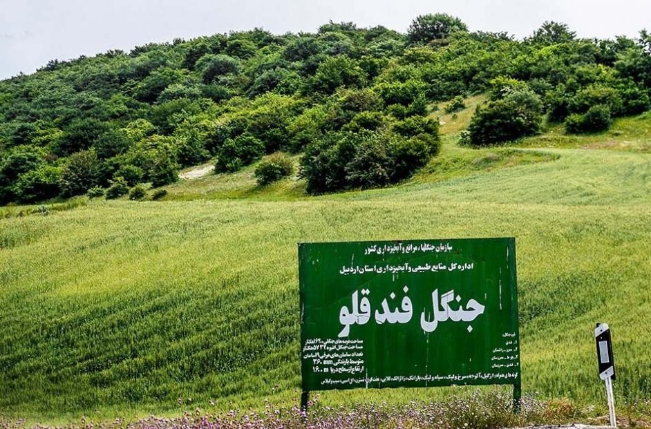 فندقلو جنگل کہا ہے اور وہاں کیسے جائیں؟