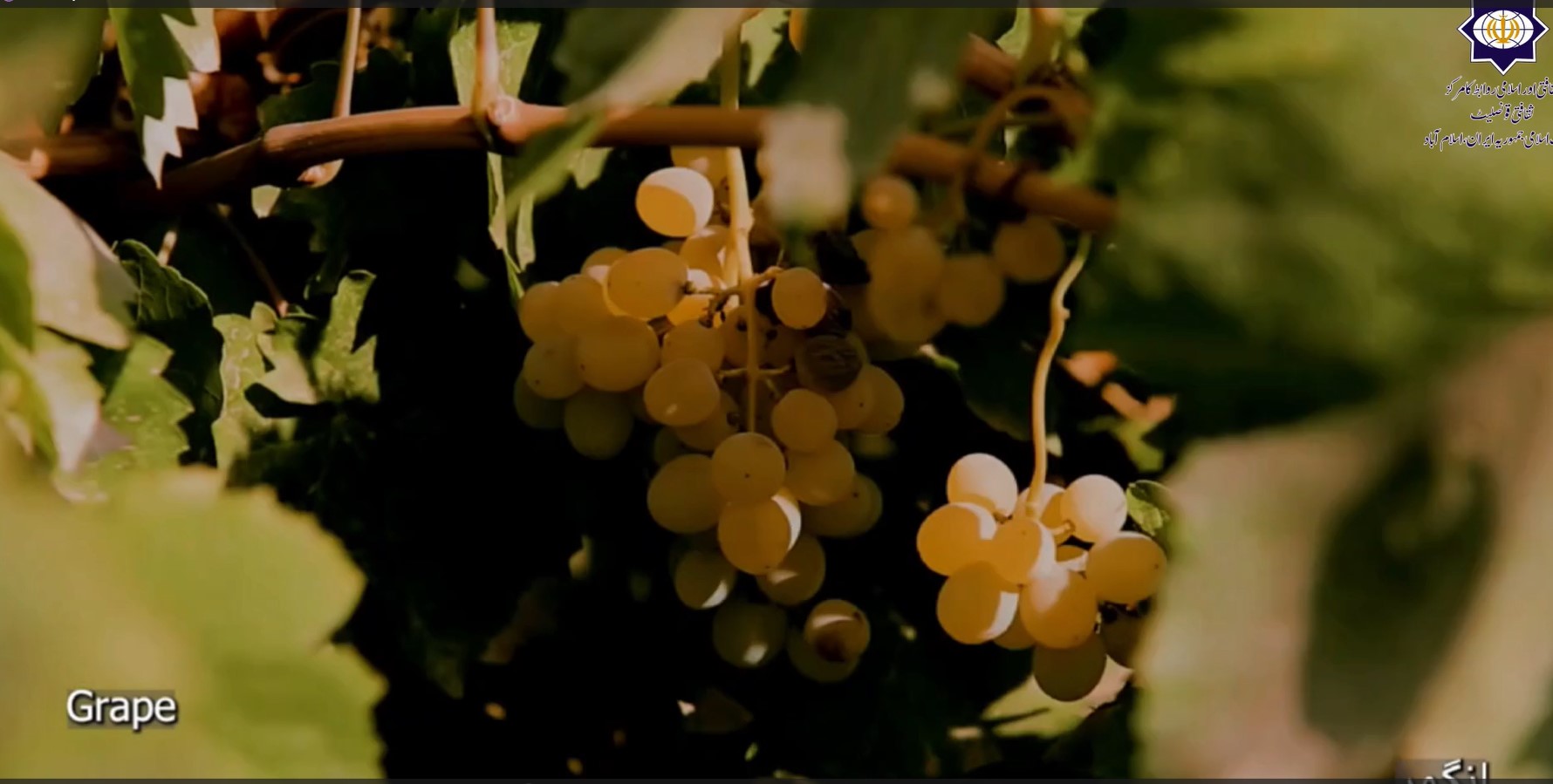 ایران کے قدیمی اور خوبصورت صوبوں میں سے ایک قزوین ہے