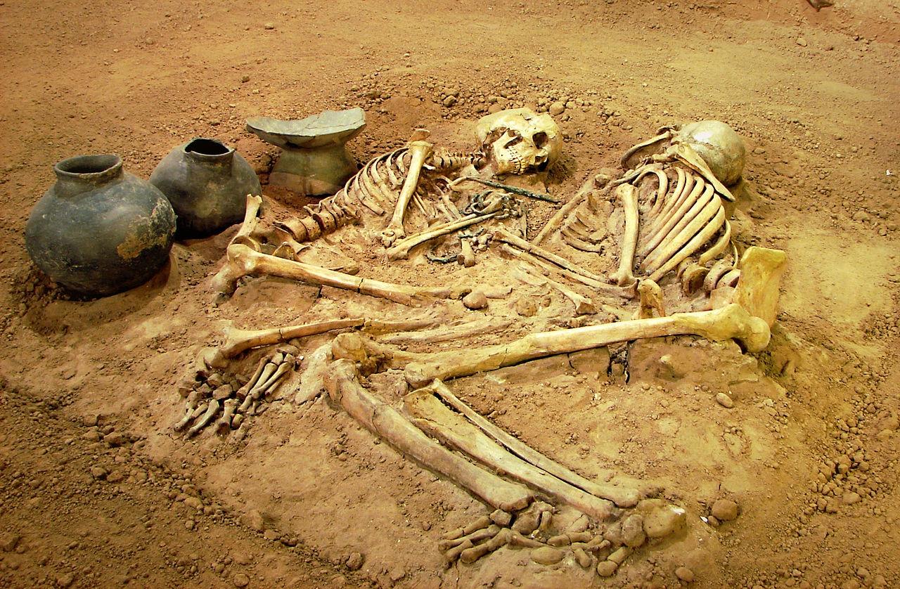 سفر از پیش از تاریخ به دنیای معاصر در موزه آذربایجان