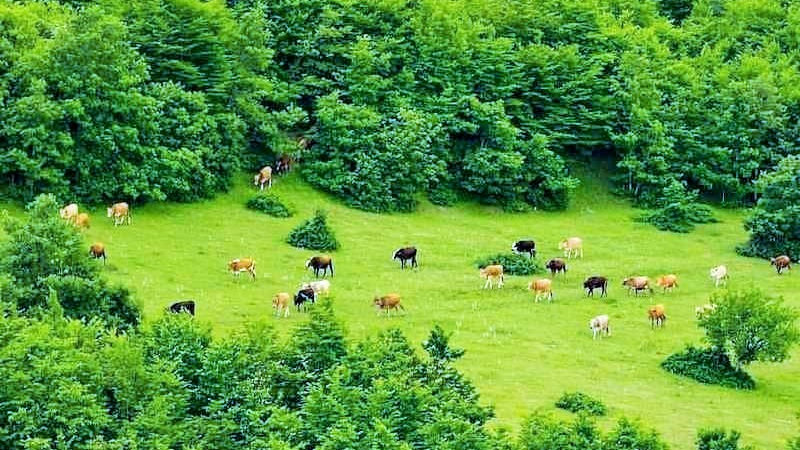 ذخیره‌گاه زیست‌کره ارسباران، منطقه‌ای با زیبایی اعجاب‌آور و باورنکردنی