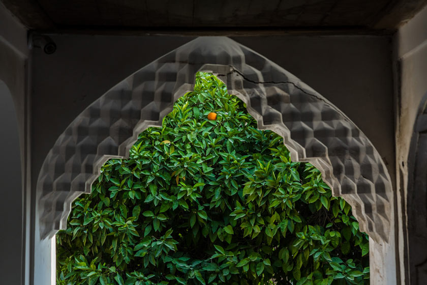 2023-5-0d008042-781c-48cd-bf8a-56cbed72ce67-67c46114c1067c5ba7684194_5